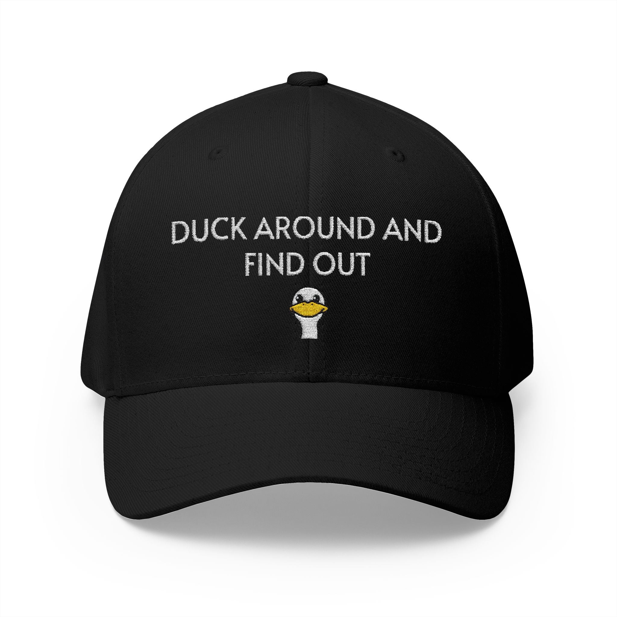 Duck Around Cap | Embroidered structured hat