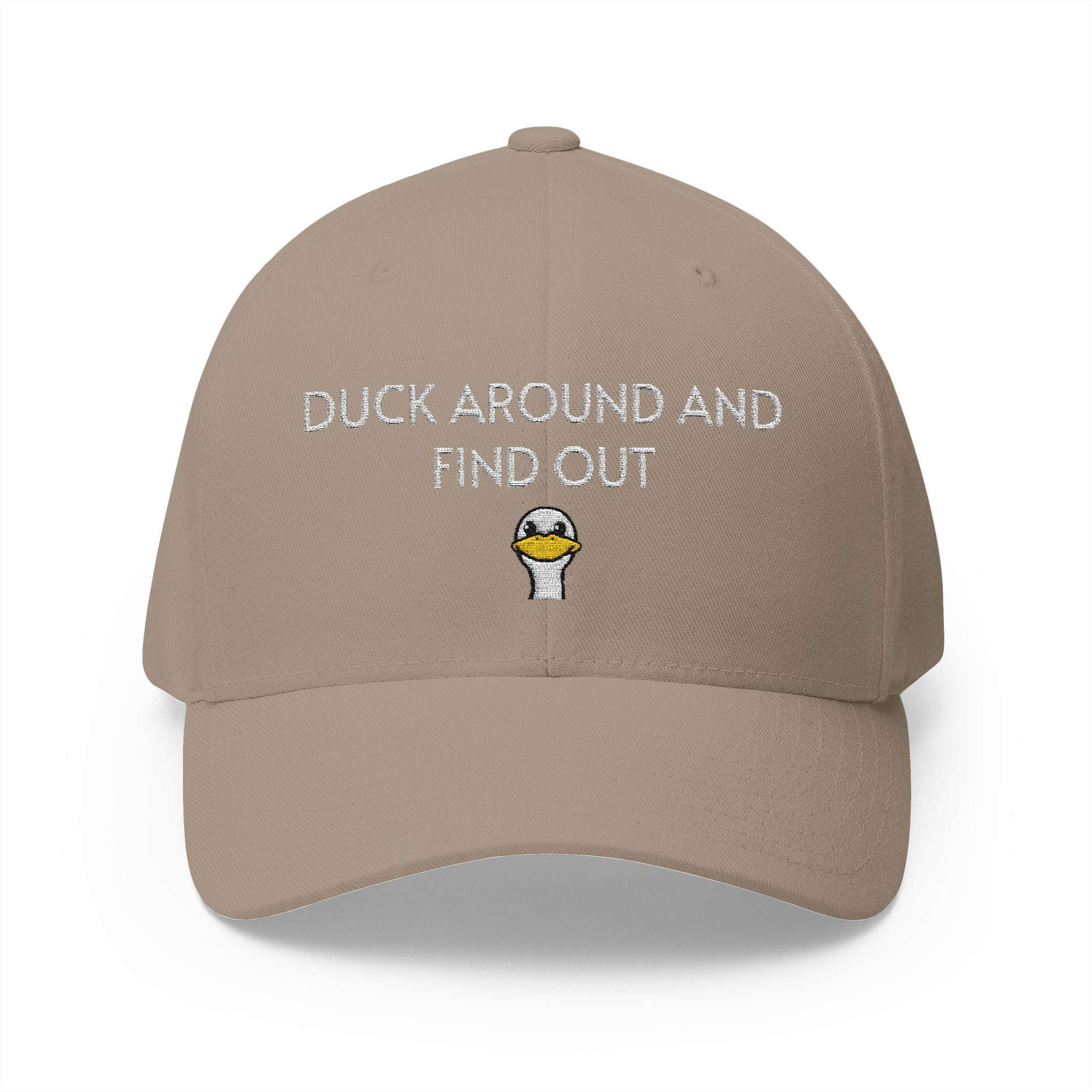 Duck Around Cap | Embroidered structured hat
