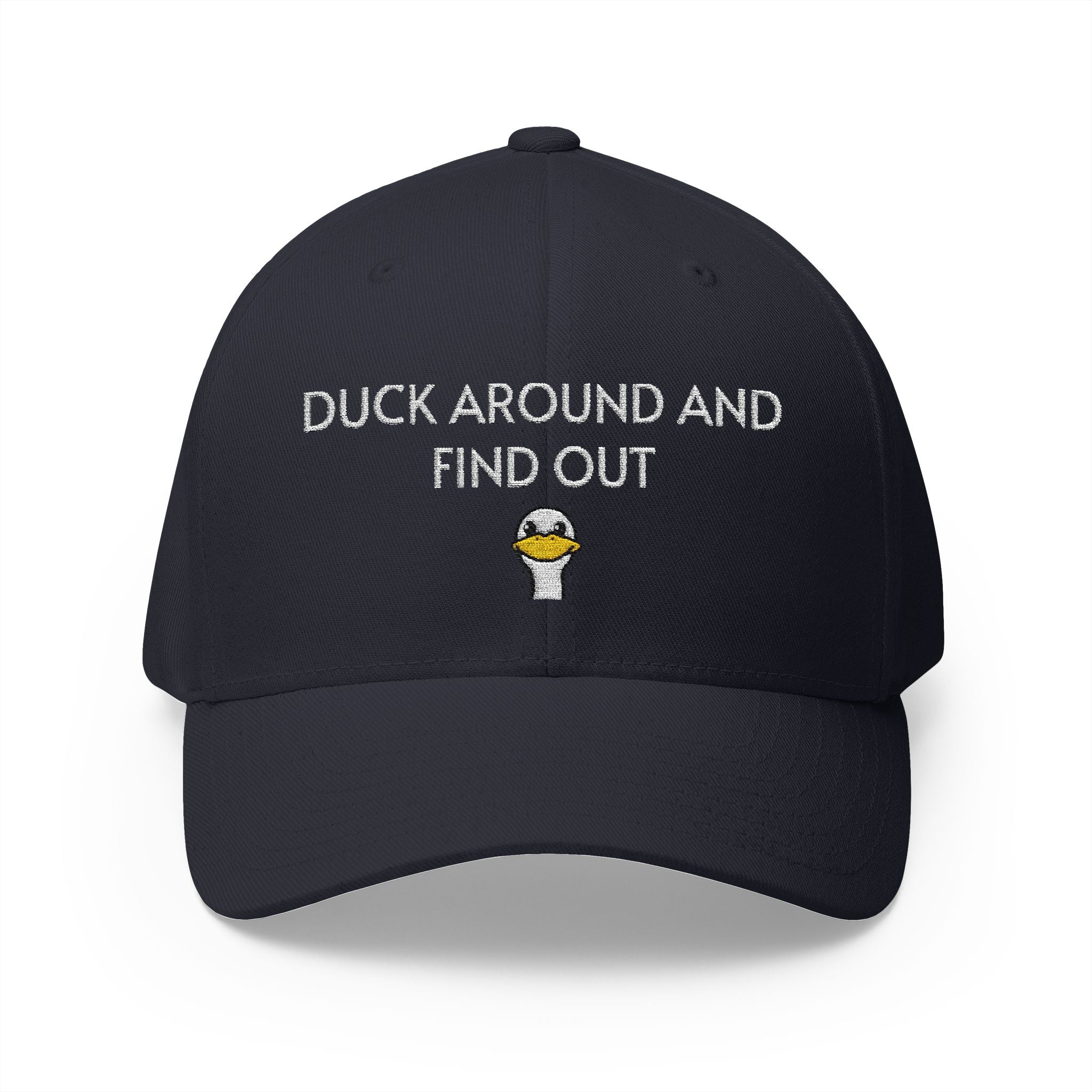 Duck Around Cap | Embroidered structured hat