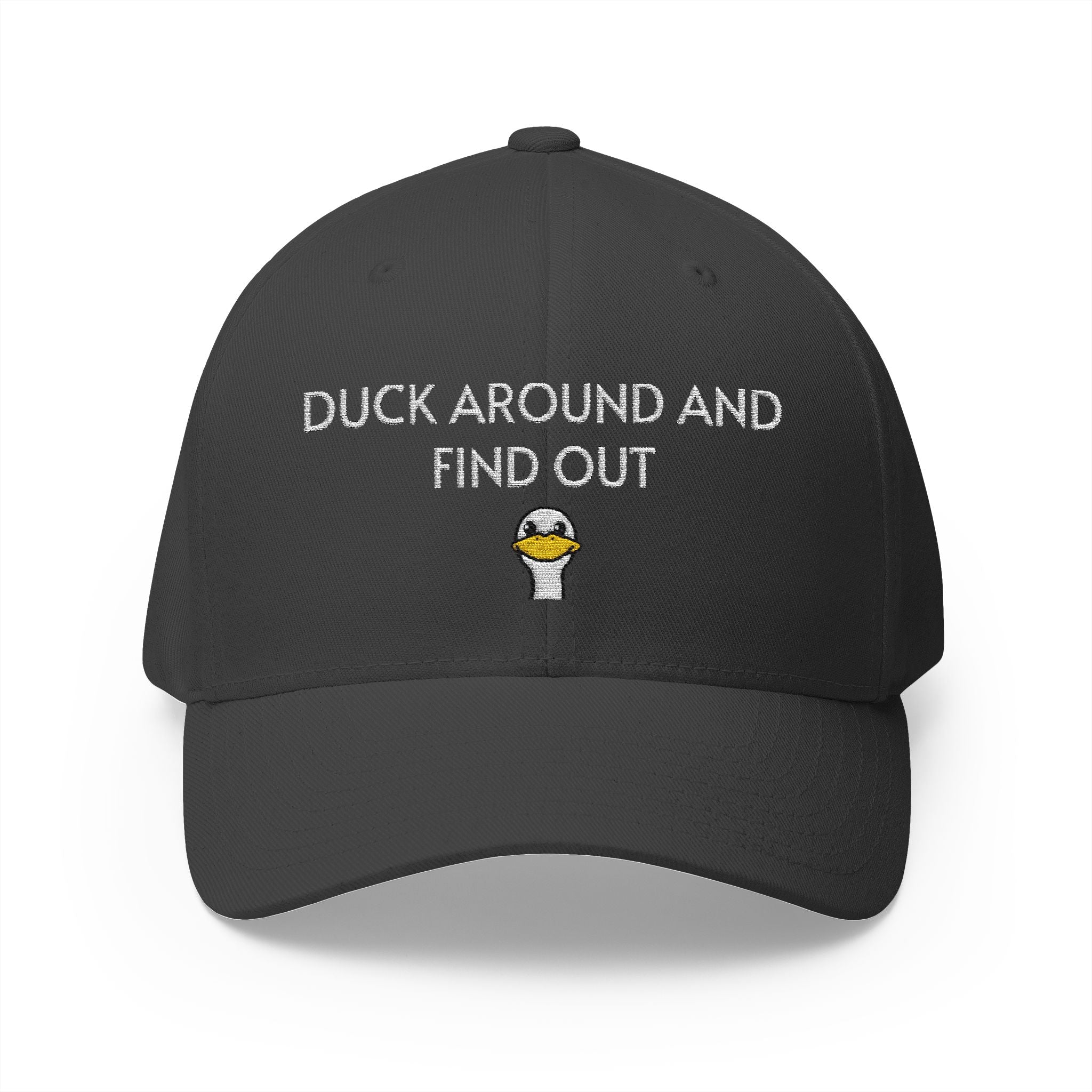 Duck Around Cap | Embroidered structured hat
